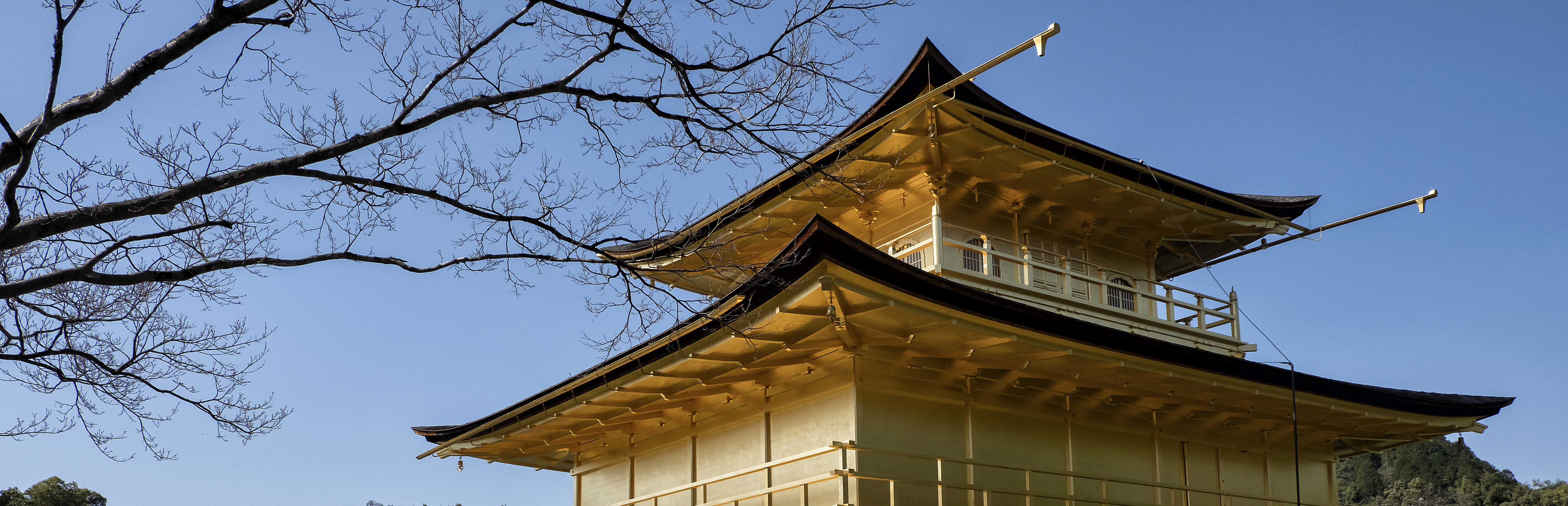 Japanreise auf eigene Faust Reisereportagen und Fotografie