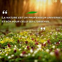 La Nature