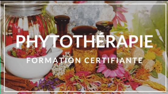 Formations certifiantes Phytothérapie