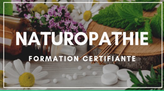 Formations certifiantes Psychologie Scientifique / Naturopathie / Nutrition