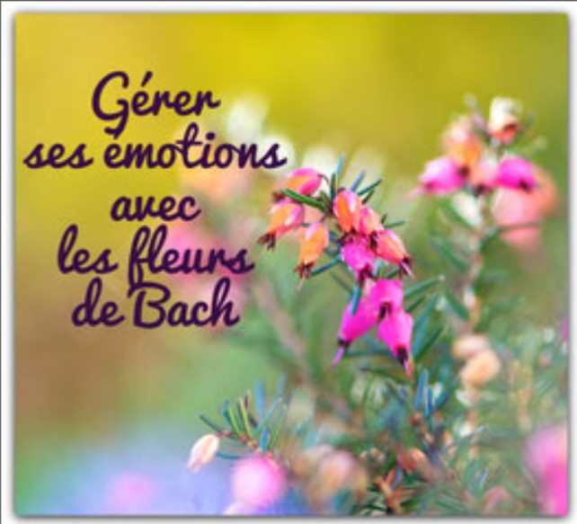 Les Fleurs du Dr Bach
