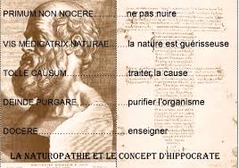 Le concept de Naturopathie 