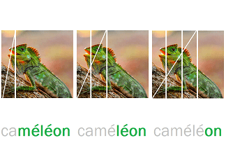 Phono-13- SUPPRESSION SUCCESSIVES DE SYLLABES