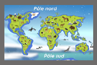 Animaux de la banquise