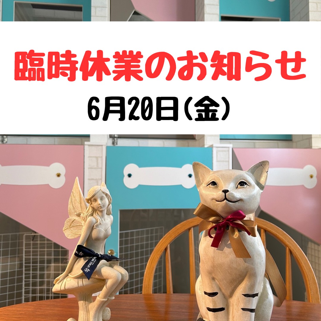 6月20日(金)　臨時休業日のお知らせ