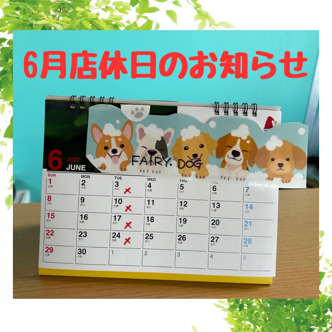 6月店休日のお知らせ