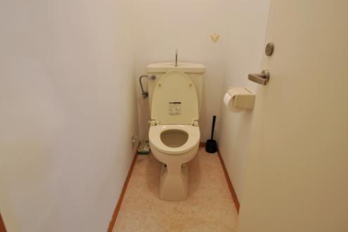 Domingo Sakurashinmachi toilet