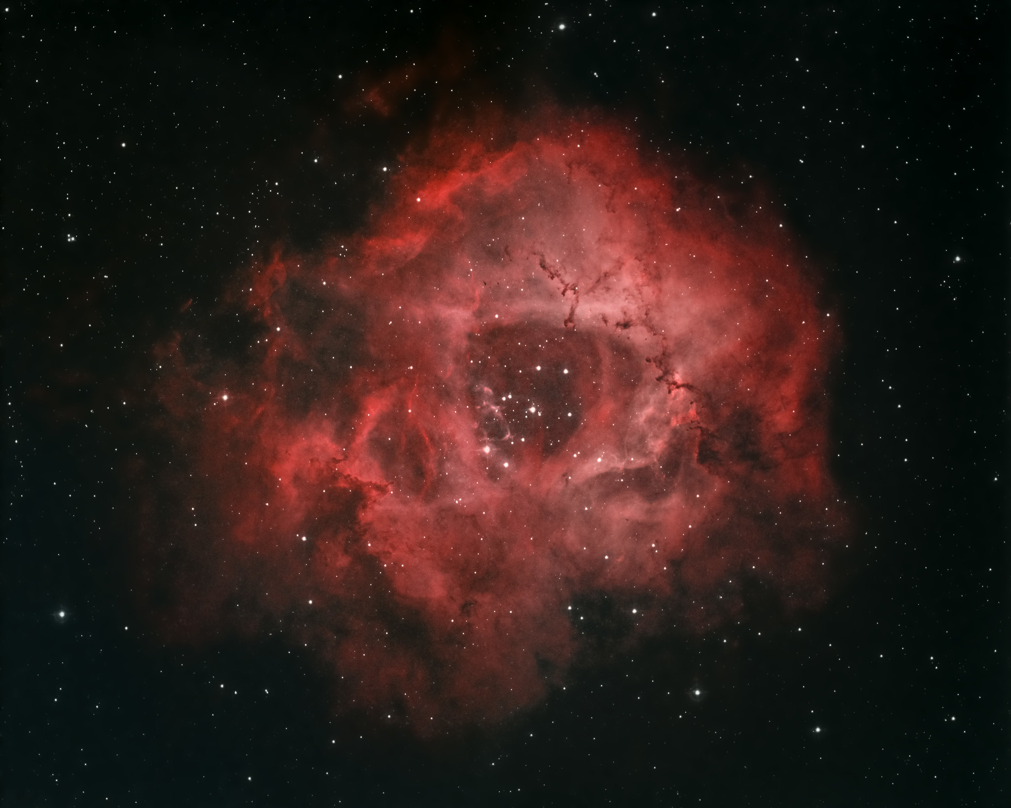 Rosette Nebula