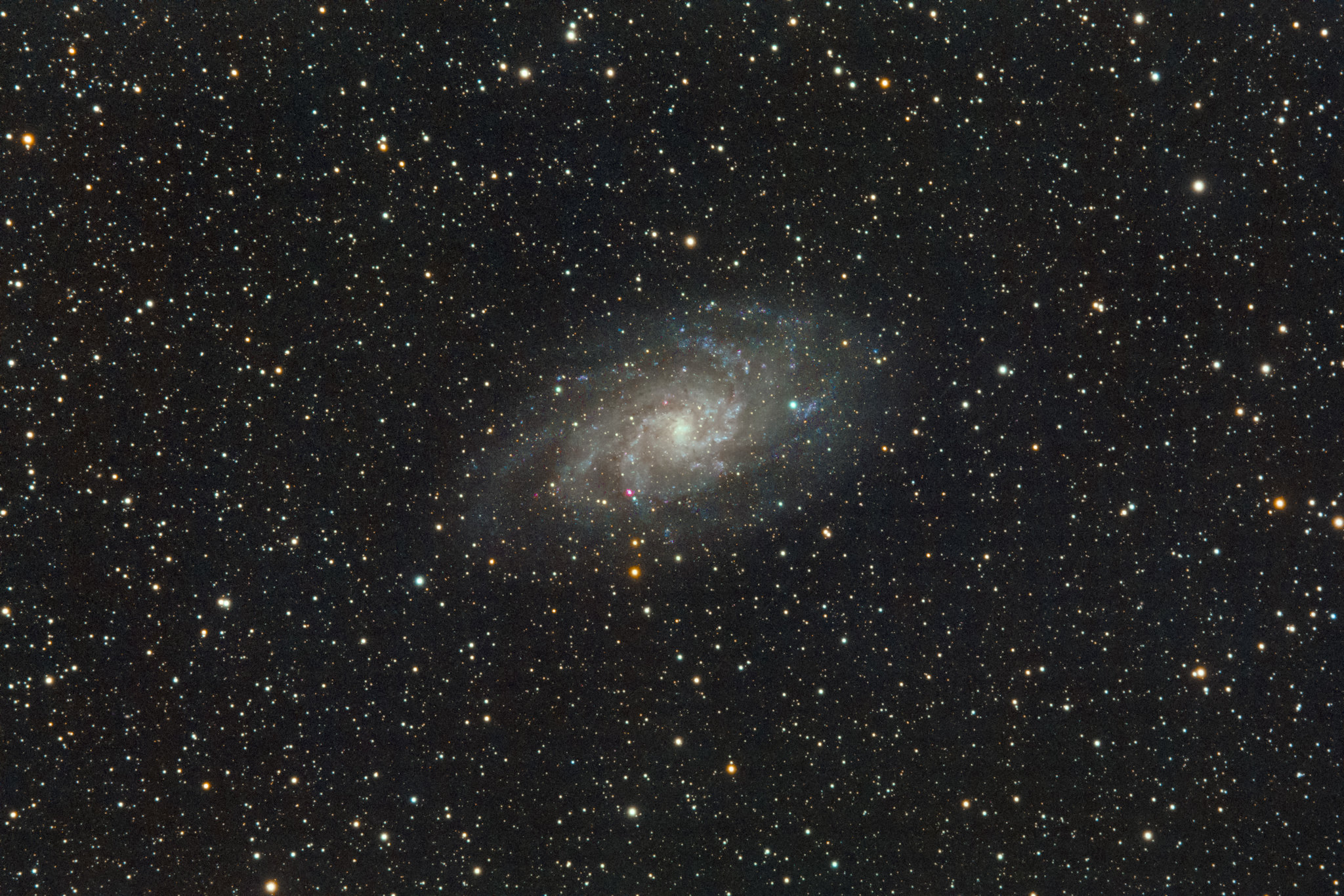 M33