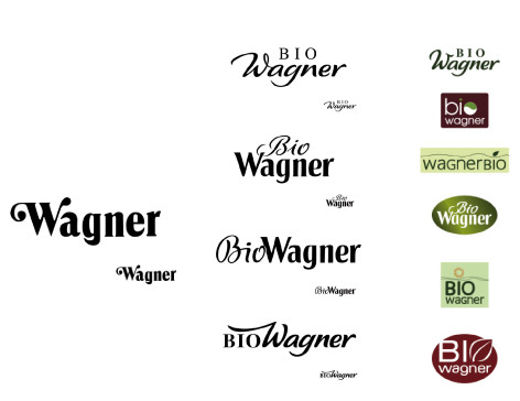 FUCHS - Wagner Bio - Logoentwicklung - Gewürze - DesignKis