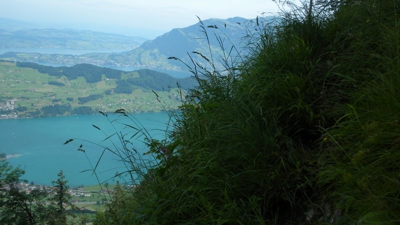 mit Tiefblick auf den Vierwaldstättersee