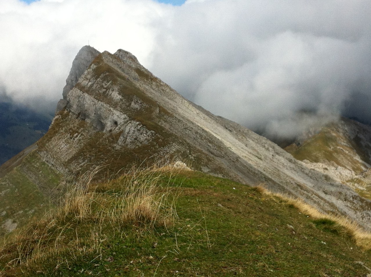 Blick zurück zum Hengst