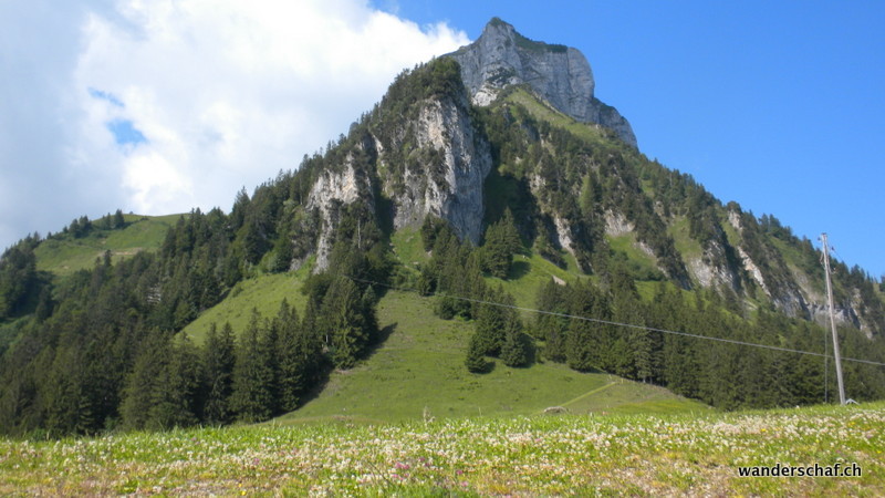 unser Ziel, Niederbauen Chulm in Sicht