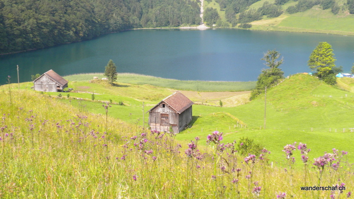 Seeli See bei Seelisberg