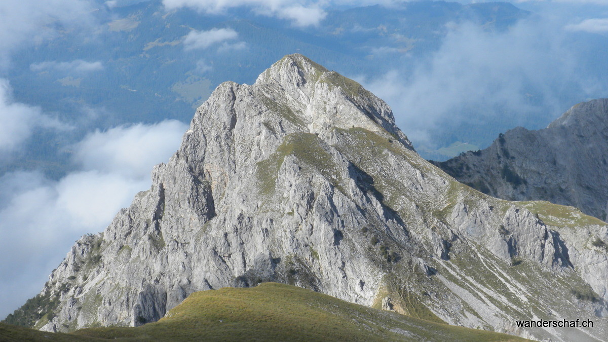 Blick zur Schafnase rüber