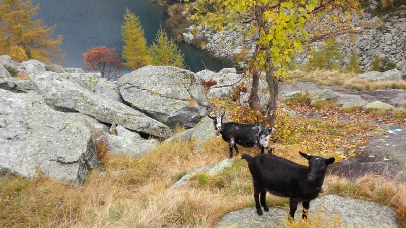 Begrüssung bei der Ankunft in der Capanna Tomeo