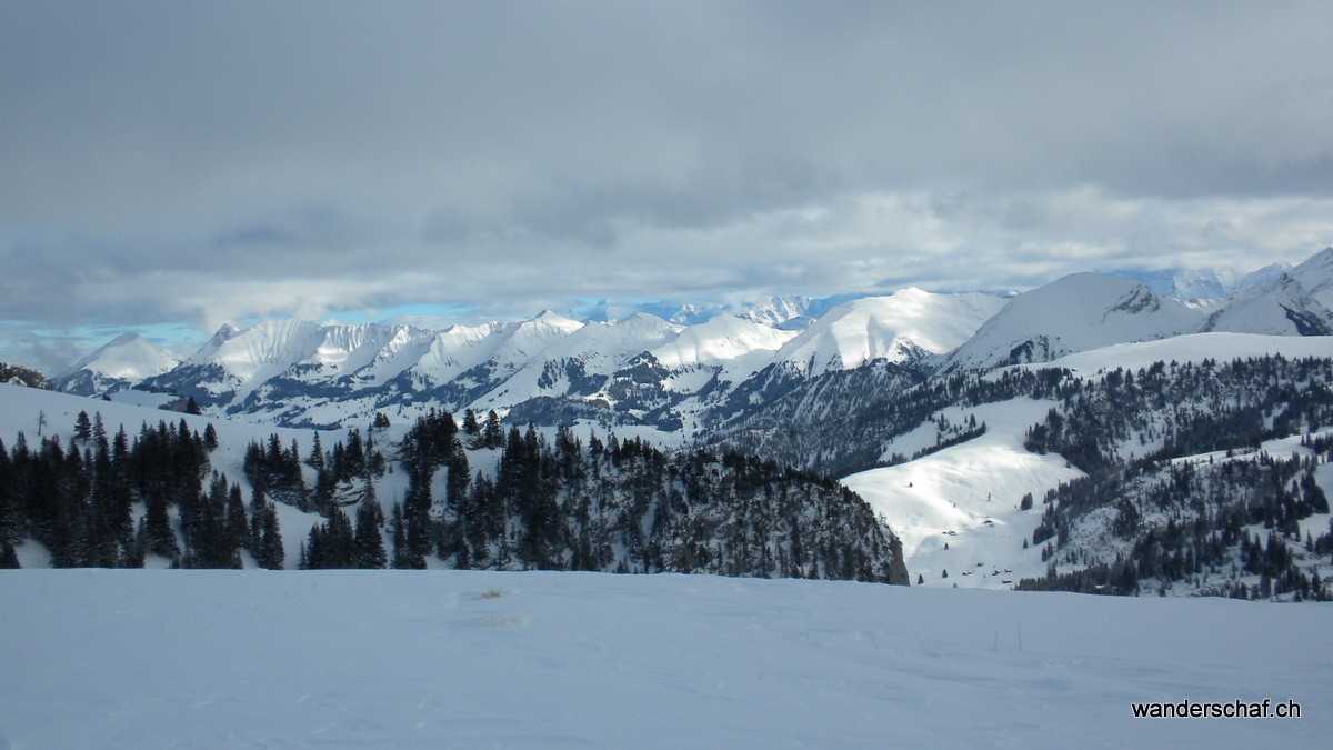 Blick zur Niesenkette