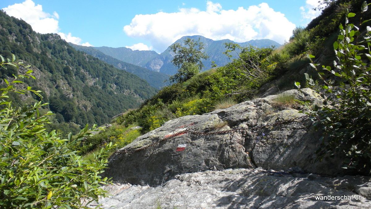 oberhalb Alpe Serena