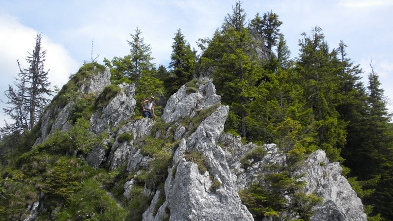 interessanter und abwechslungsreicher Übergang zur Musenalp