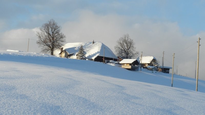 ober Altösch