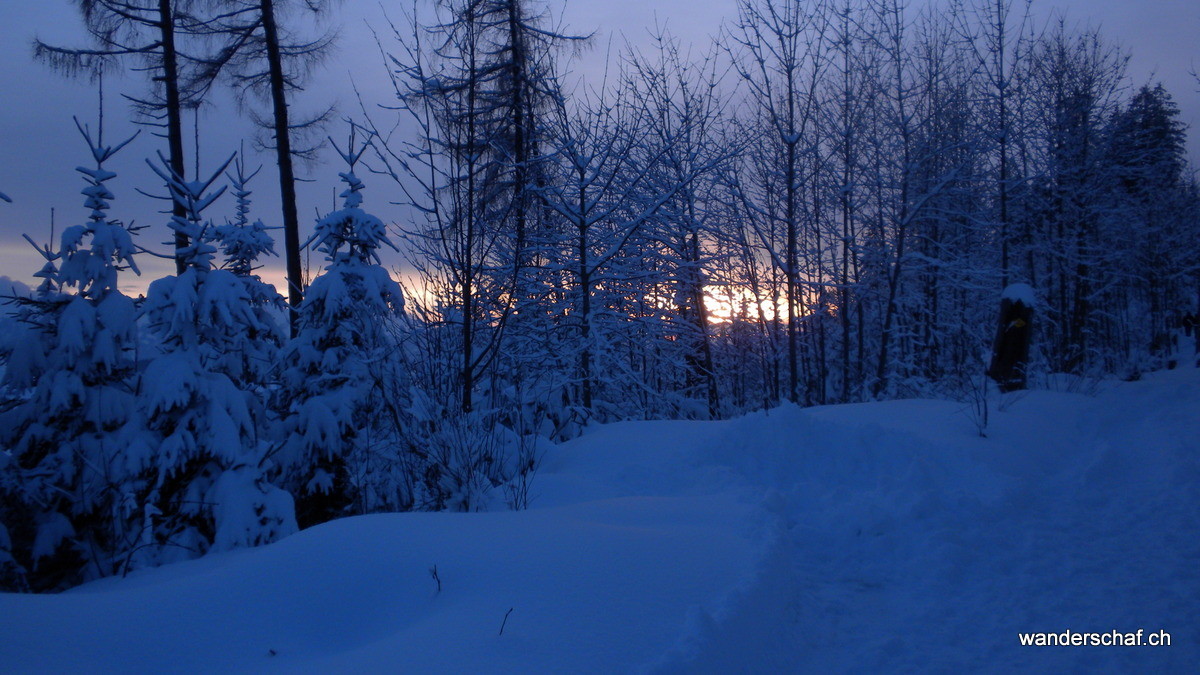 Abendstimmung beim Ringgis