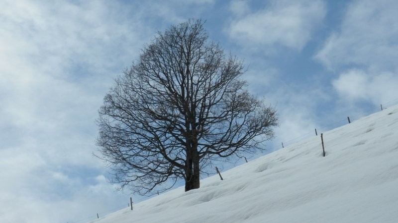 doch noch etwas blauer Himmel in Sicht