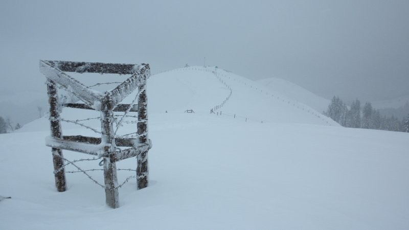 auf dem Bock; Blick zurück....