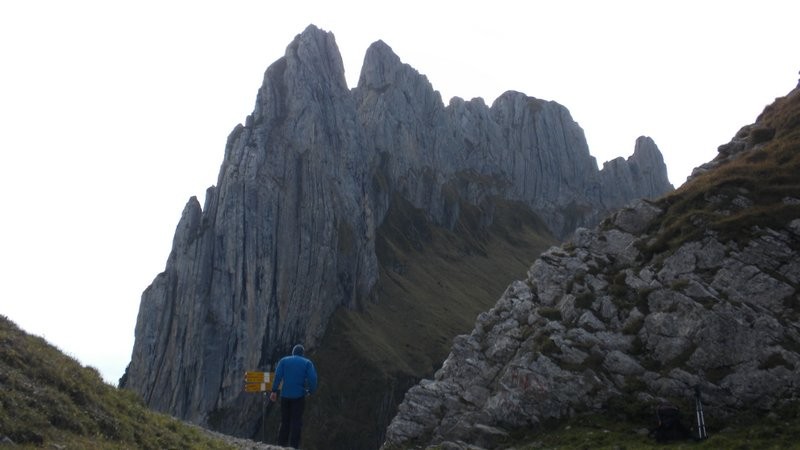 in der Saxerlücke mit den Chrüzbergen im Hintergrund