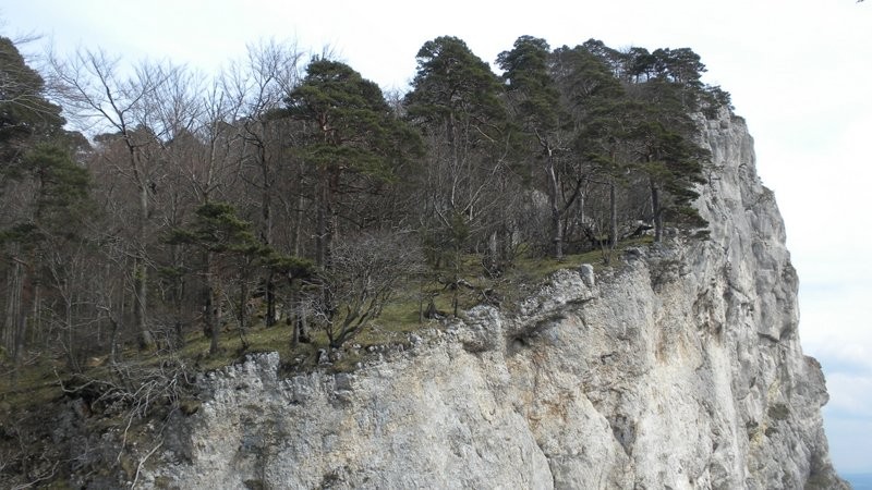 entlang dieser Kante führt der Bergweg