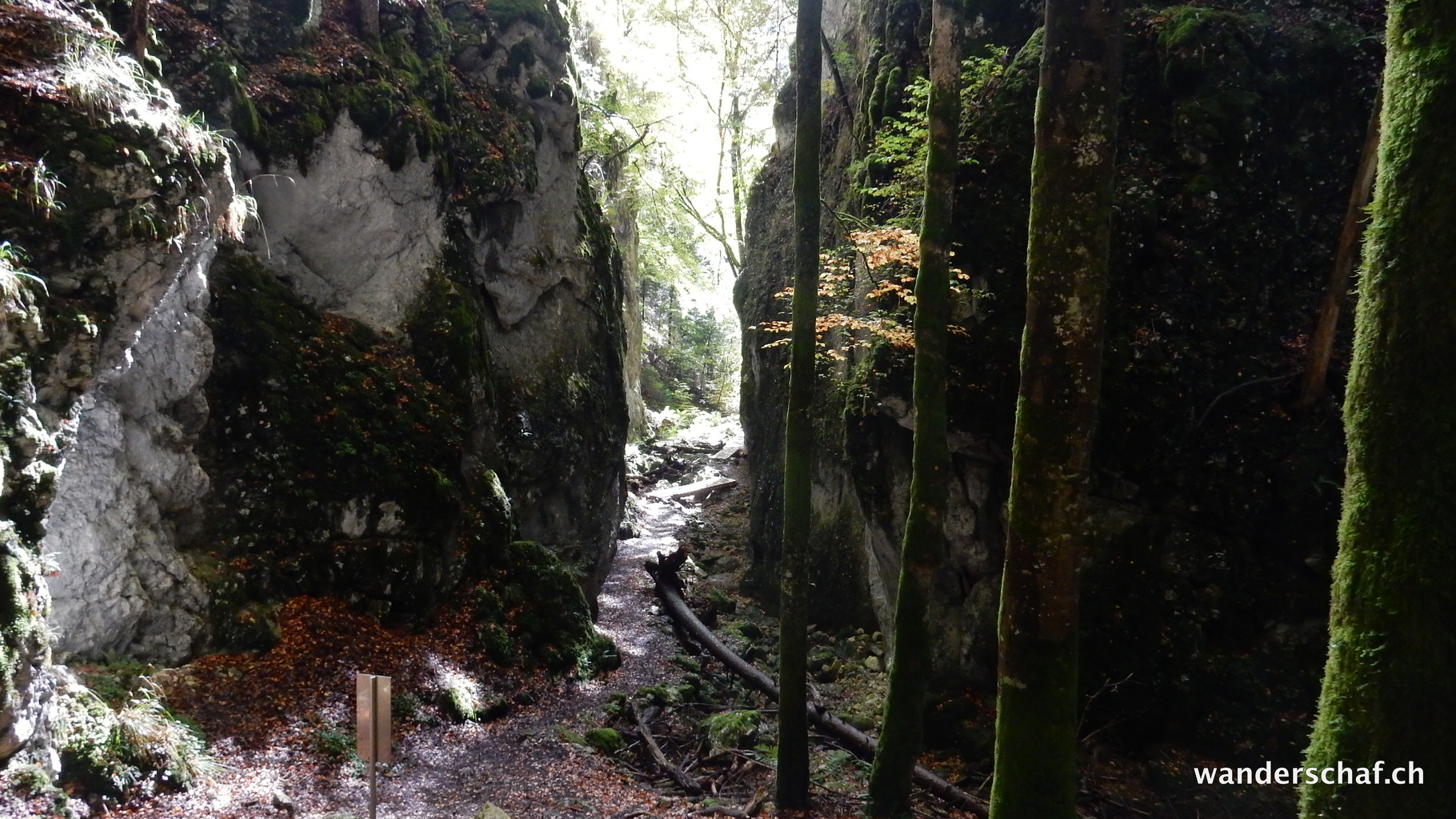 leider ist im Moment kaum Wasser zu finden in der ganzen Schlucht