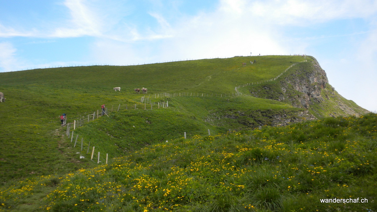 auf der Normalroute Richtung Gipfel vom Niederbauen Chulm