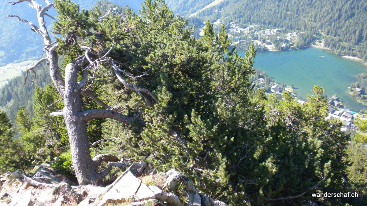 Champex-Lac