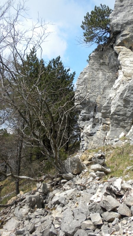 auf dem Rückweg zum Wanderweg