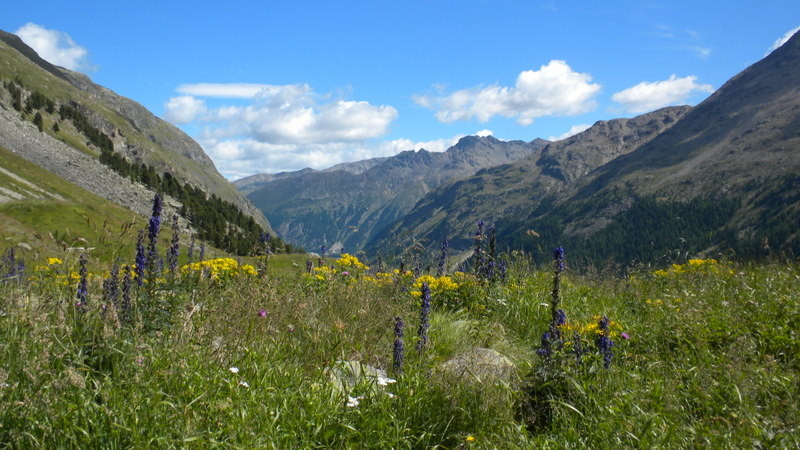 Blick talauswärts