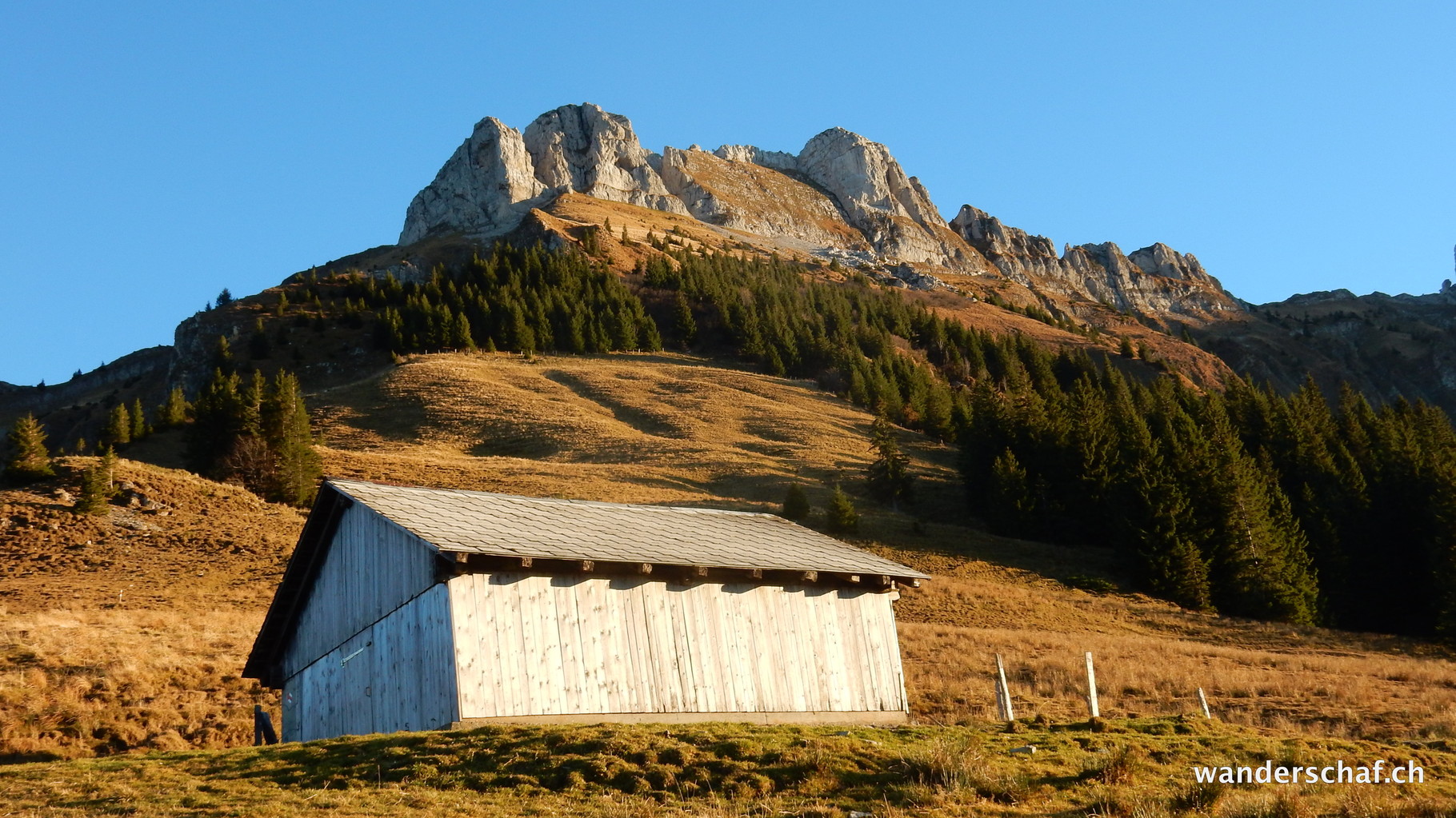 Blick zurück