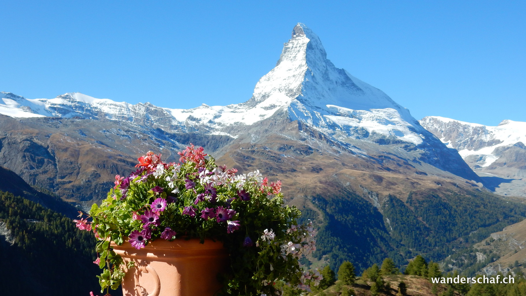 herrliche Aussicht von der Terrasse auf Sunegga