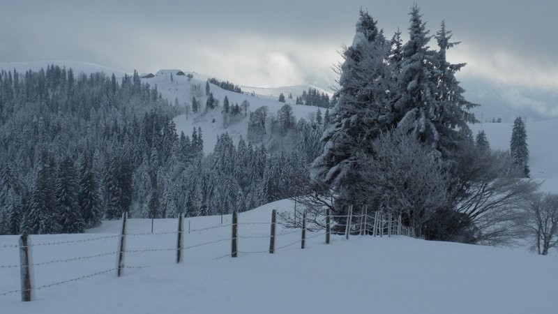 Blick zurück zum Bock vom Rossgrat