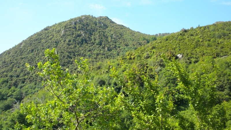 unser erstes Ziel, Belvédère de Cervione in Sicht