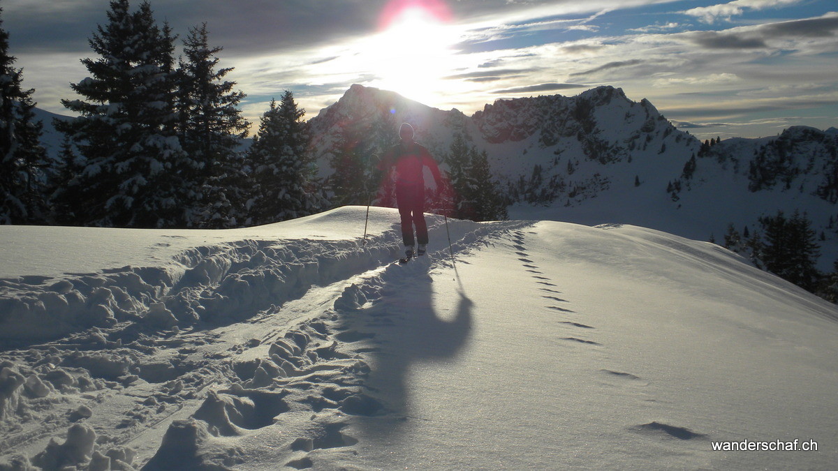 Blick zurück