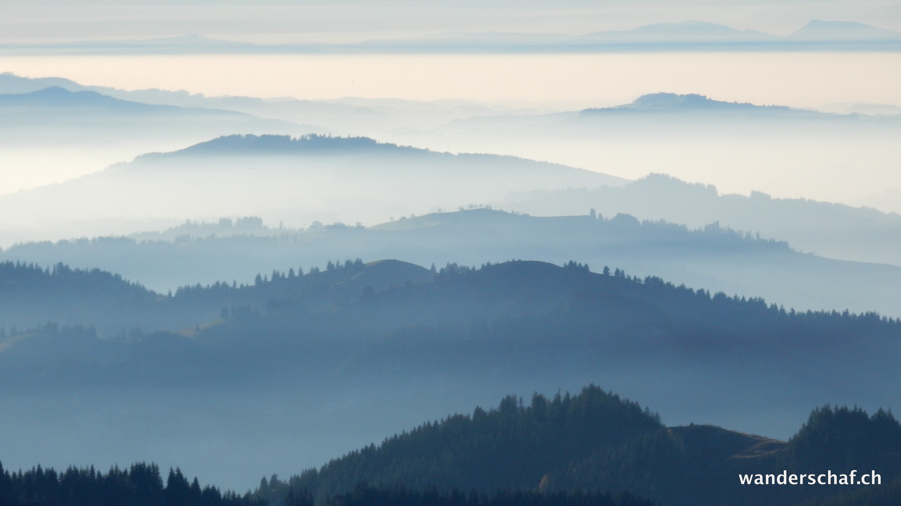 umherschleichender Nebel im Mittelland