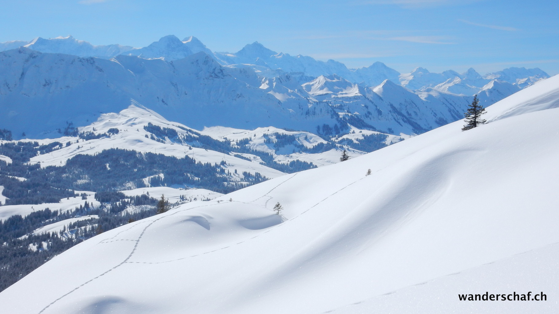 die Berner Prominez lässt grüssen