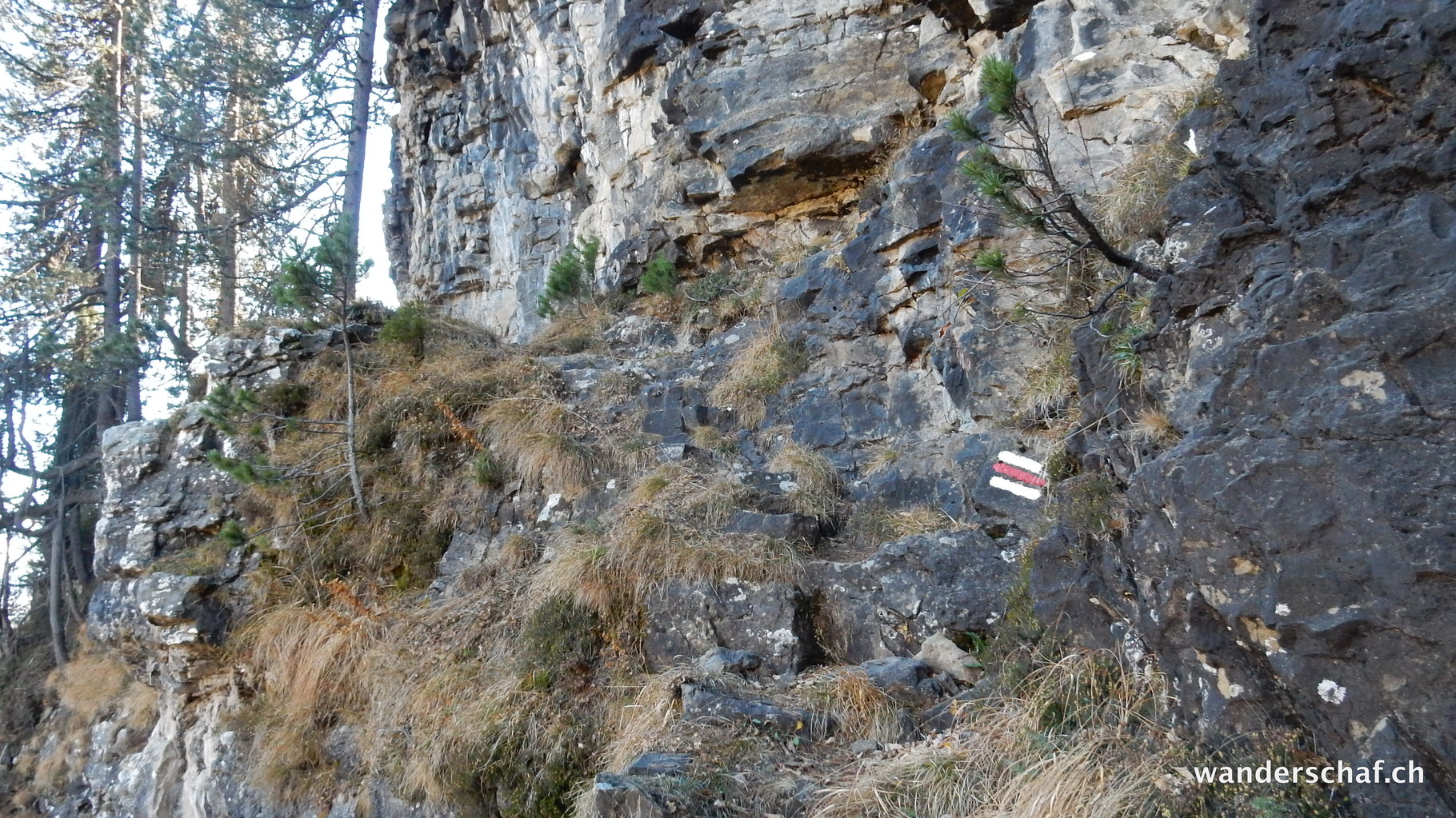 weiter geht's auf dem Bergweg Richtung Trogenalp