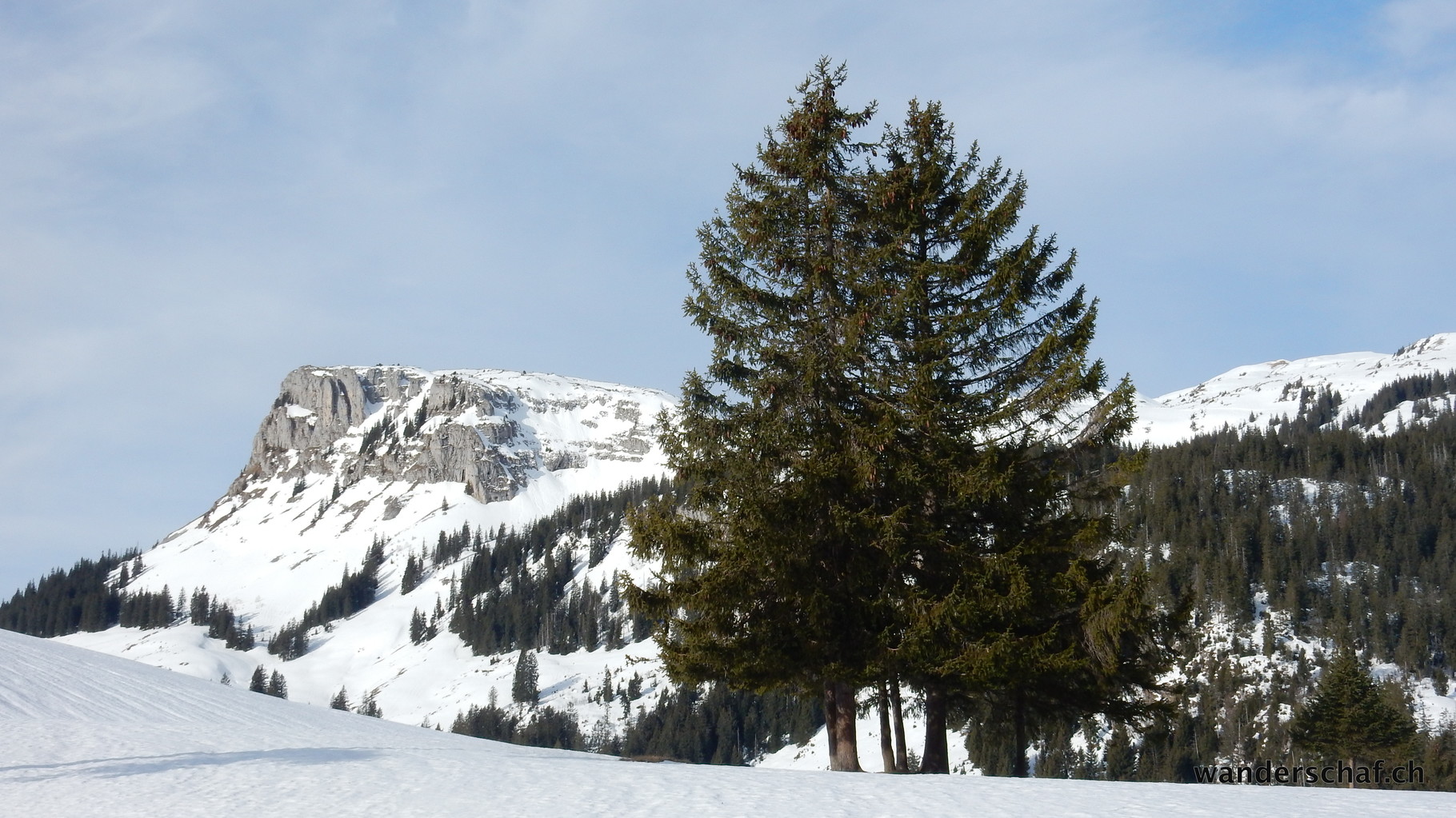 im Aufstieg bei Wagliseichnubel