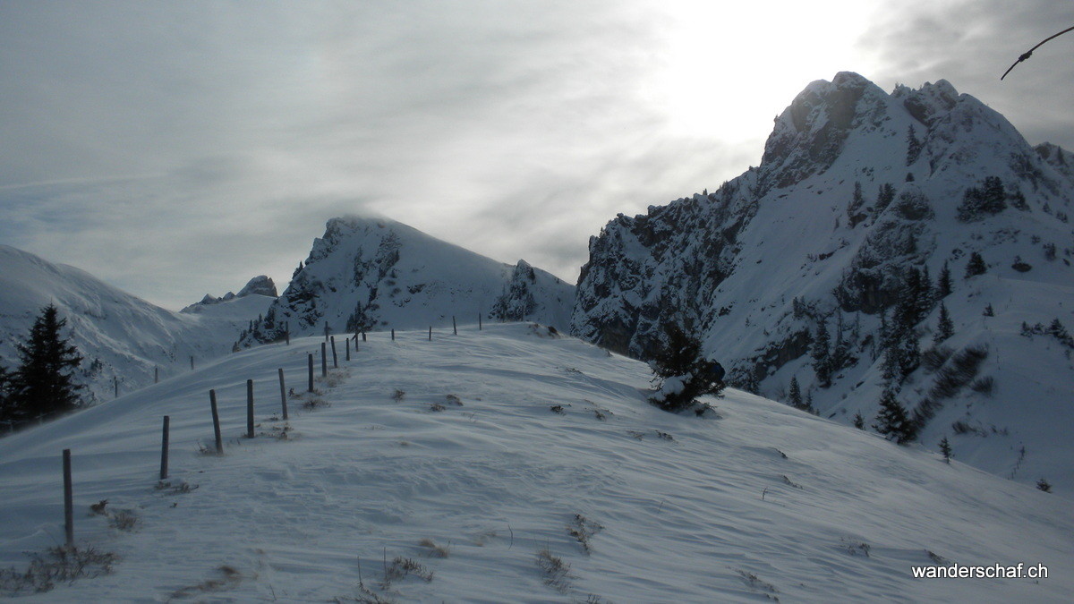 Blick zur Muntigalm