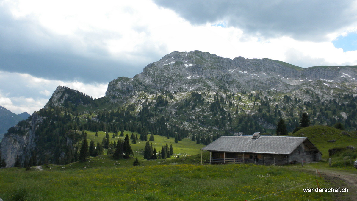 Blick zurück