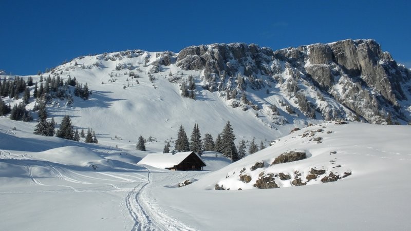 Obergestele mit Niderhore im Hintergrund