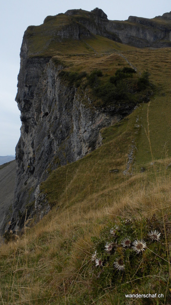 im Aufstieg zum Girenspitz