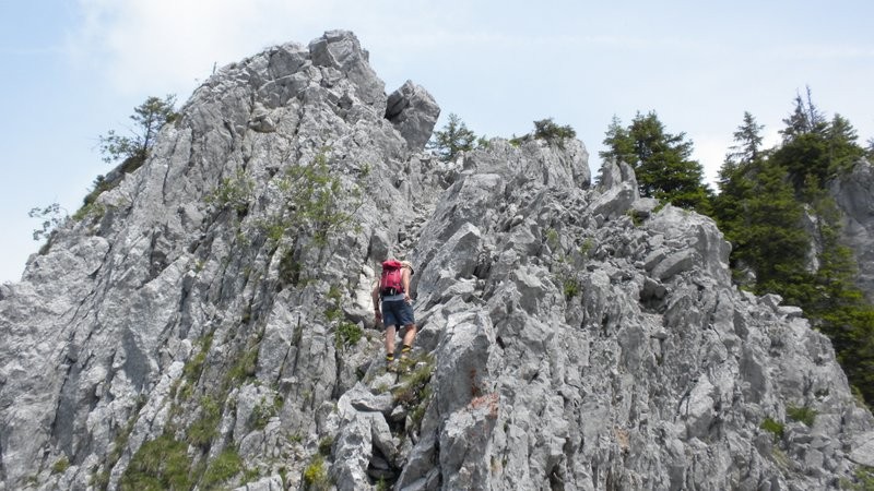 die teilweise brüchigen Kalkfelsen bei Rätzelen