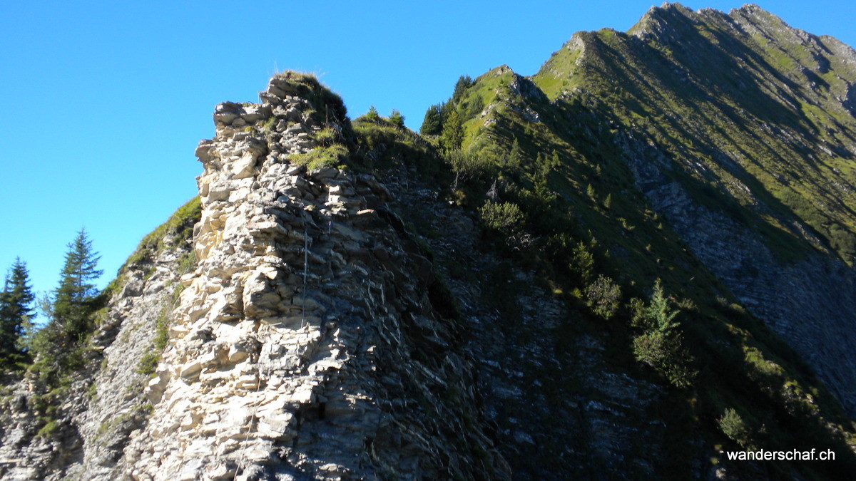 wir stehen vor den bissigen "wysse Zend"