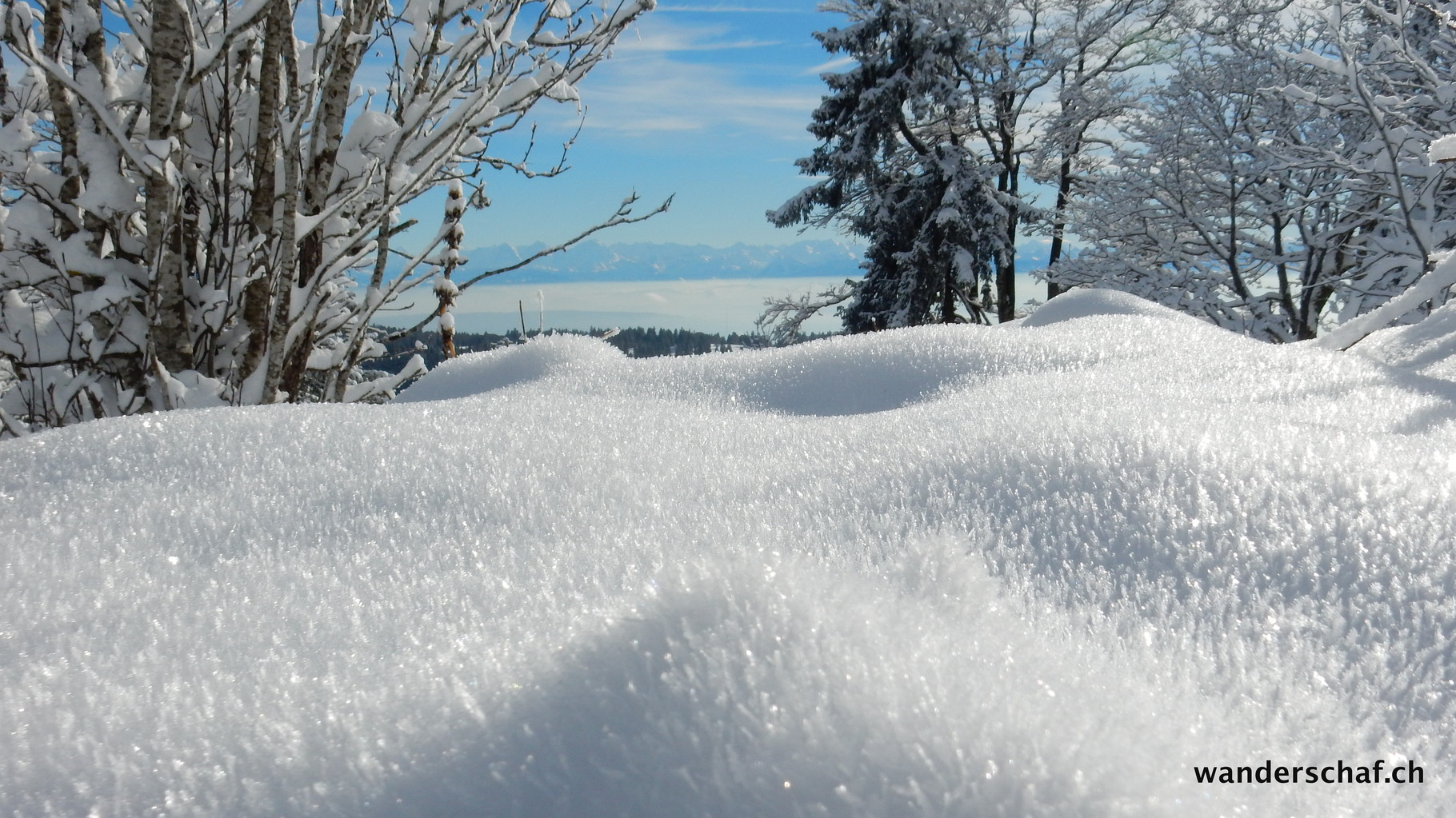 Blick in die Alpen